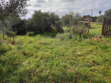 Terreno para Venda em Lagos (São Sebastião e Santa Maria)