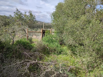 Terreno para Venda em Lagos (São Sebastião e Santa Maria)