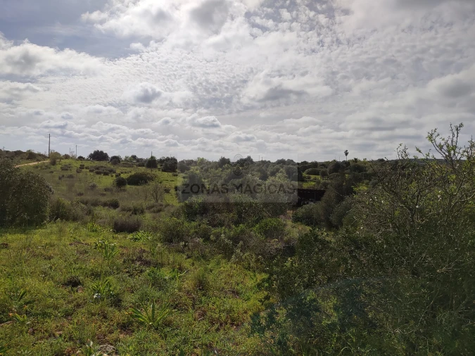 Terreno para Venda em Lagos (São Sebastião e Santa Maria) Foto 11