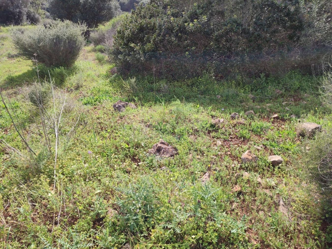 Terreno para Venda em Lagos (São Sebastião e Santa Maria) Foto 12