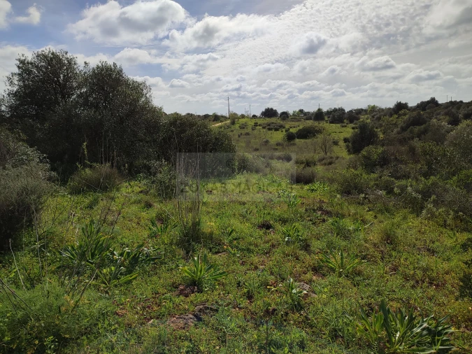 Terreno para Venda em Lagos (São Sebastião e Santa Maria) Foto 10