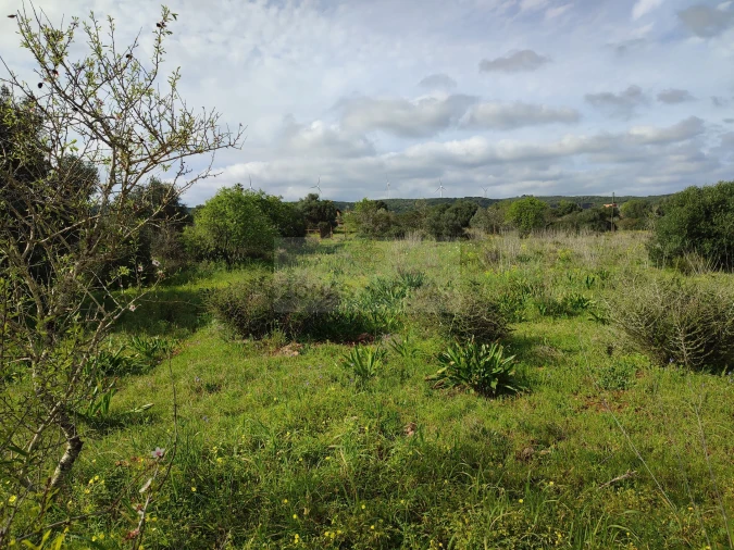 Terreno para Venda em Lagos (São Sebastião e Santa Maria) Foto 14