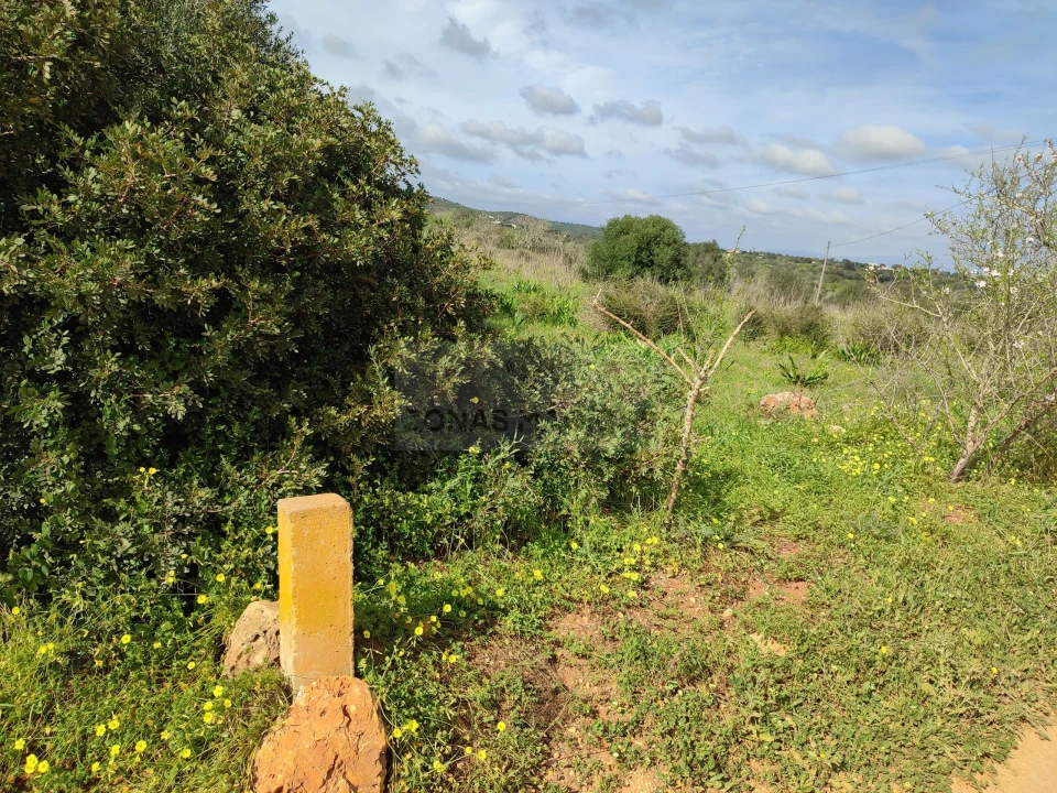 Terreno para Venda em Lagos (São Sebastião e Santa Maria) Foto 13