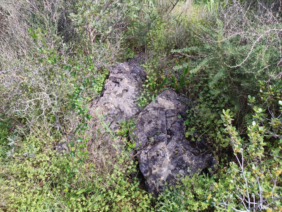 Terreno para Venda em Lagos (São Sebastião e Santa Maria) Foto 8