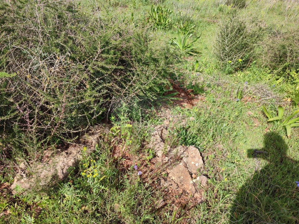 Terreno para Venda em Lagos (São Sebastião e Santa Maria) Foto 15