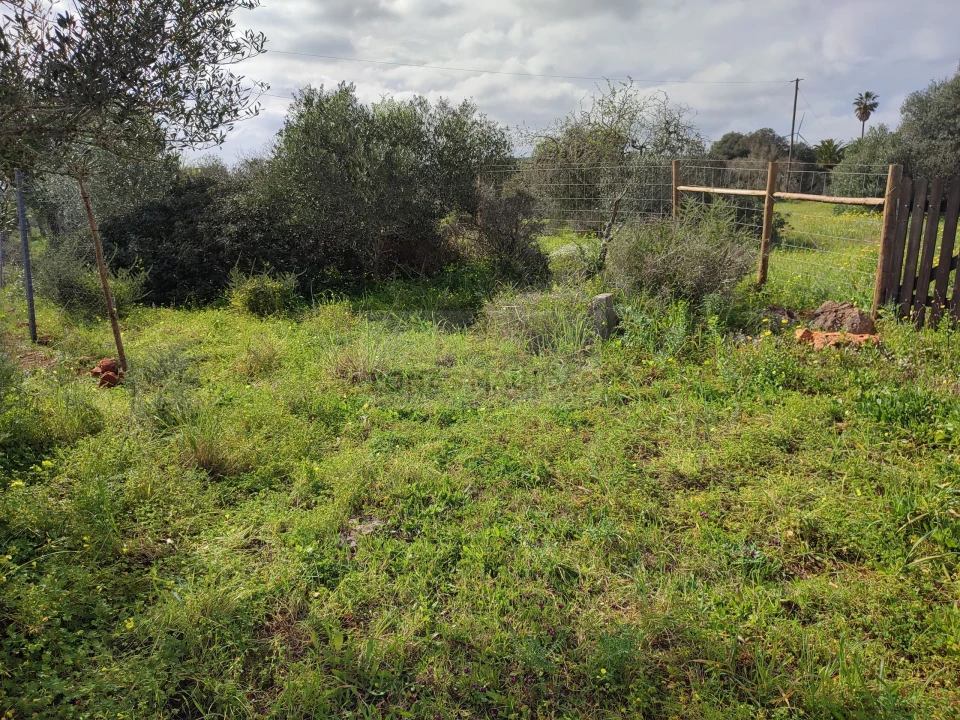 Terreno para Venda em Lagos (São Sebastião e Santa Maria) Foto 16