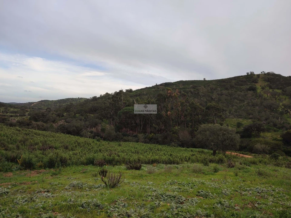 Terreno para Venda em Lagos (São Sebastião e Santa Maria) Foto 8