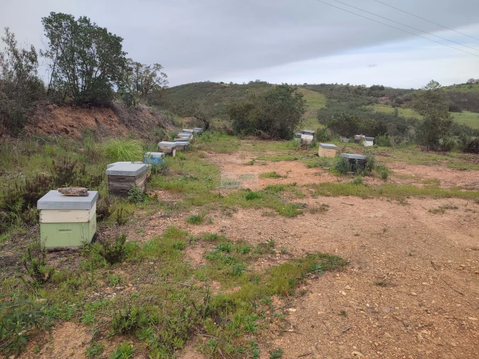 Terreno para Venda em Lagos (São Sebastião e Santa Maria) Foto 9