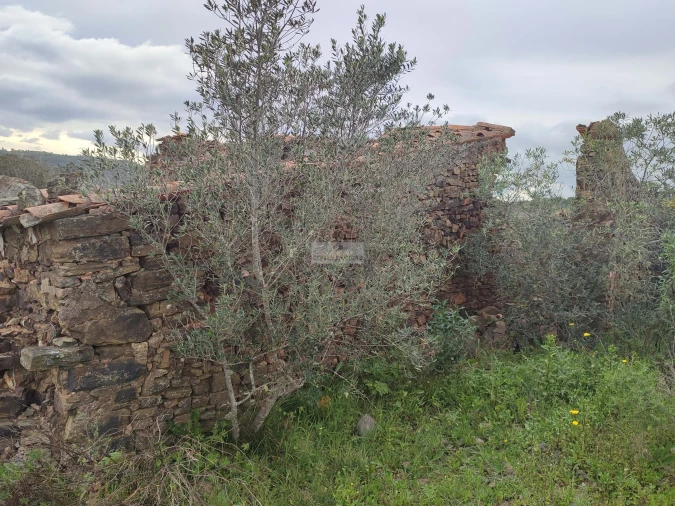 Terreno para Venda em Lagos (São Sebastião e Santa Maria) Foto 3