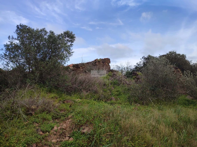 Terreno para Venda em Lagos (São Sebastião e Santa Maria) Foto 4