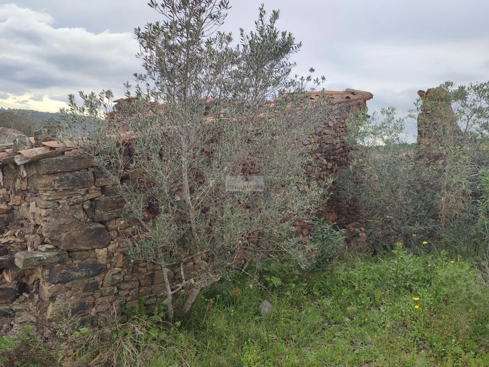 Terreno para Venda em Lagos (São Sebastião e Santa Maria) Foto 3