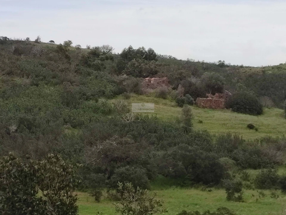 Terreno para Venda em Lagos (São Sebastião e Santa Maria) Foto 2