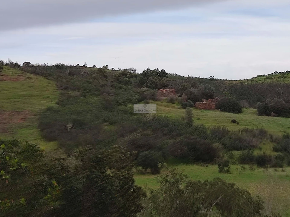 Terreno para Venda em Lagos (São Sebastião e Santa Maria) Foto 6