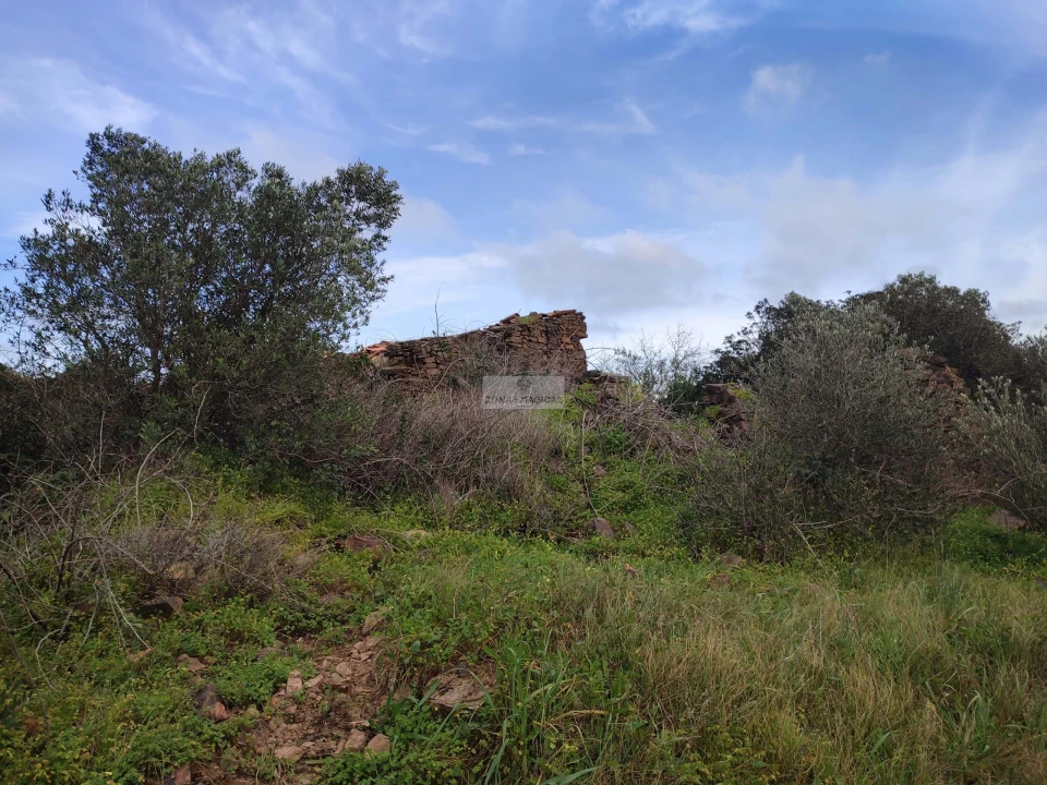 Terreno para Venda em Lagos (São Sebastião e Santa Maria) Foto 4