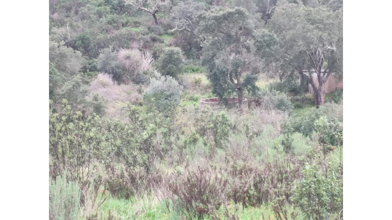 Quinta T3 para Venda em Lagos (São Sebastião e Santa Maria) Foto 19