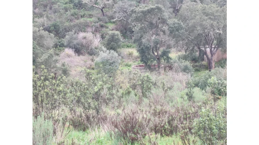 Quinta T3 para Venda em Lagos (São Sebastião e Santa Maria) Foto 19