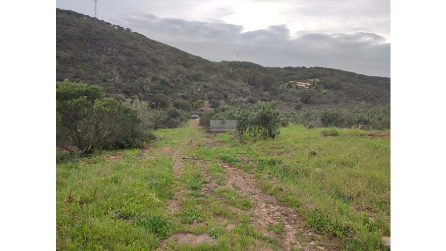 Quinta T3 para Venda em Lagos (São Sebastião e Santa Maria) Foto 7