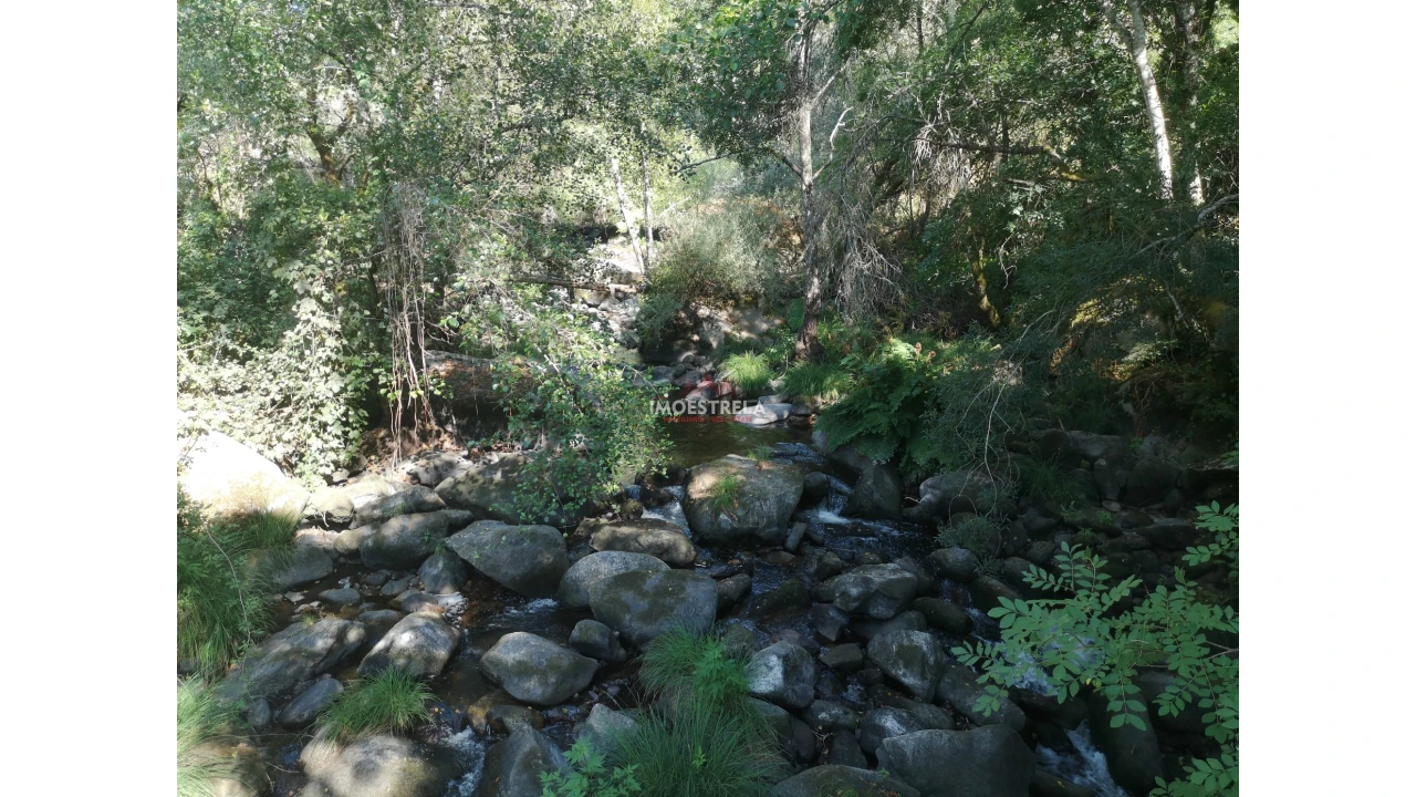 Quinta T0 para Venda em Ervedal e Vila Franca da Beira Foto 6