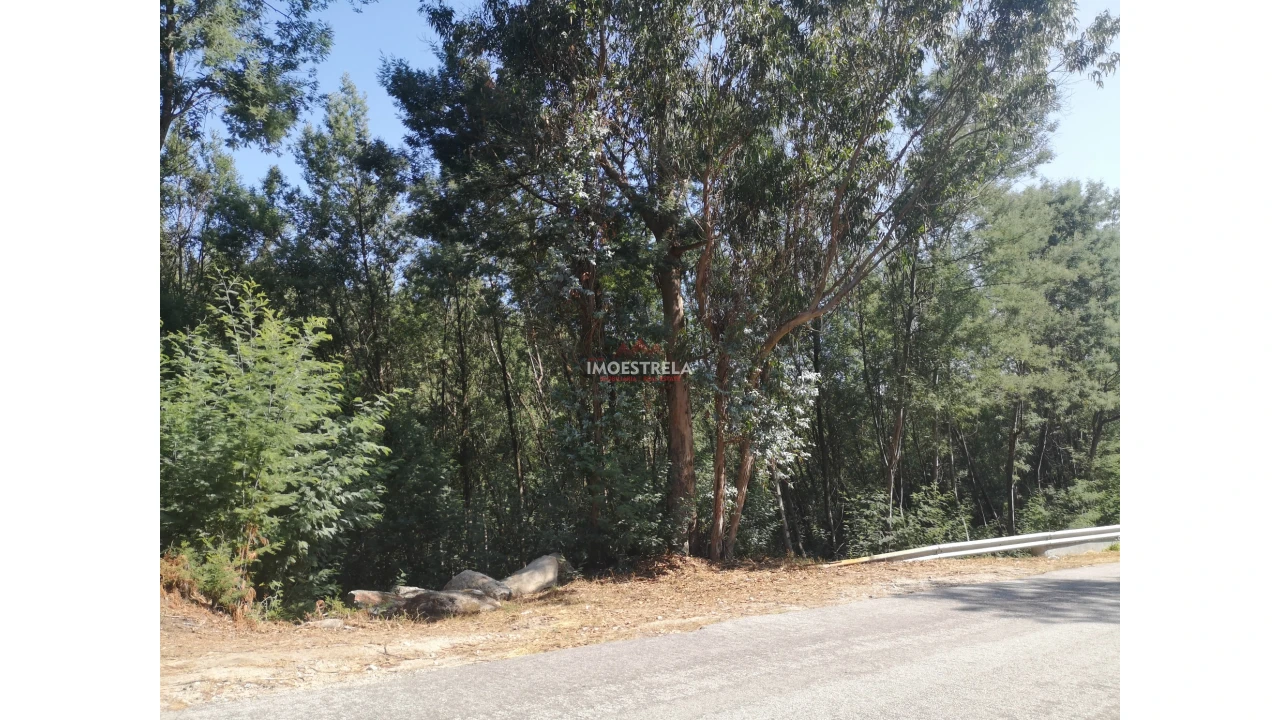 Quinta T0 para Venda em Ervedal e Vila Franca da Beira Foto 12