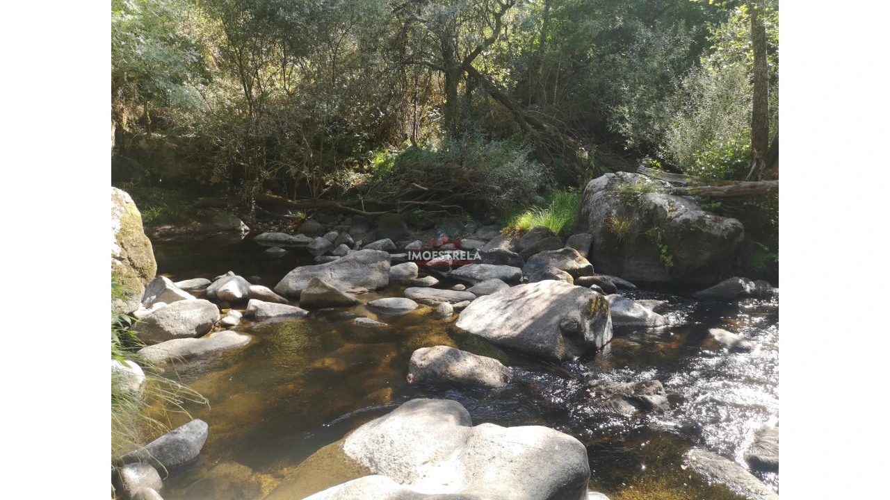 Quinta T0 para Venda em Ervedal e Vila Franca da Beira Foto 5