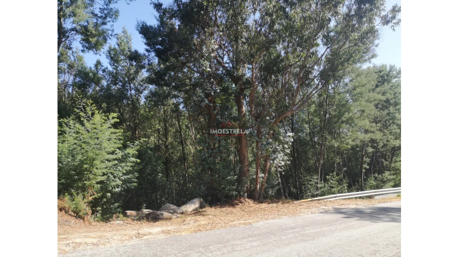 Quinta T0 para Venda em Ervedal e Vila Franca da Beira Foto 12