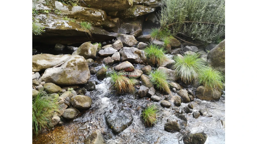 Quinta T0 para Venda em Ervedal e Vila Franca da Beira Foto 4