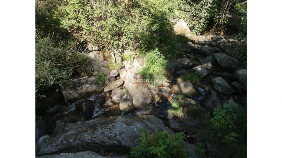 Quinta T0 para Venda em Ervedal e Vila Franca da Beira Foto 7
