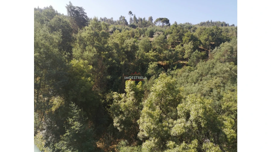 Quinta T0 para Venda em Ervedal e Vila Franca da Beira Foto 13