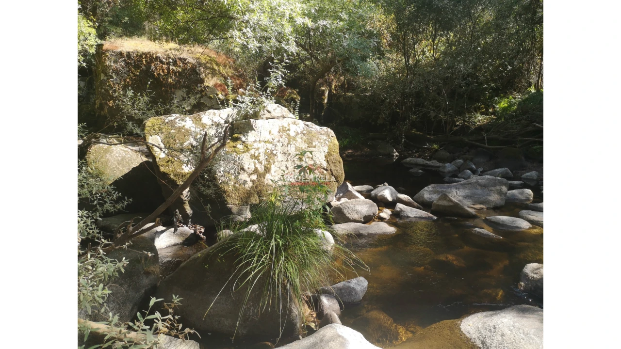 Quinta T0 para Venda em Ervedal e Vila Franca da Beira Foto 3