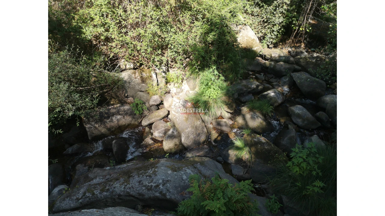 Quinta T0 para Venda em Ervedal e Vila Franca da Beira Foto 7