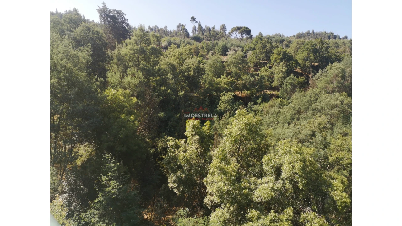 Quinta T0 para Venda em Ervedal e Vila Franca da Beira Foto 13