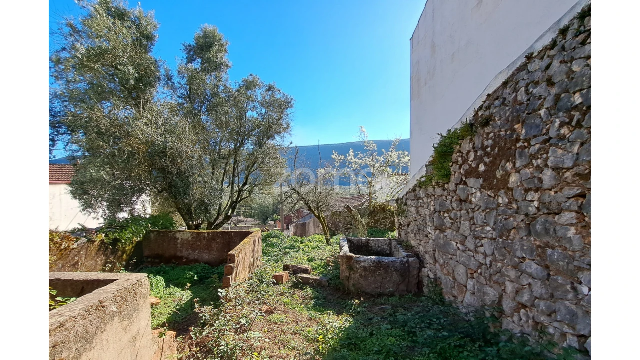 Terreno para Venda em Mira de Aire Foto 9