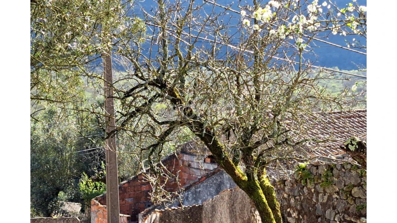 Terreno para Venda em Mira de Aire Foto 10