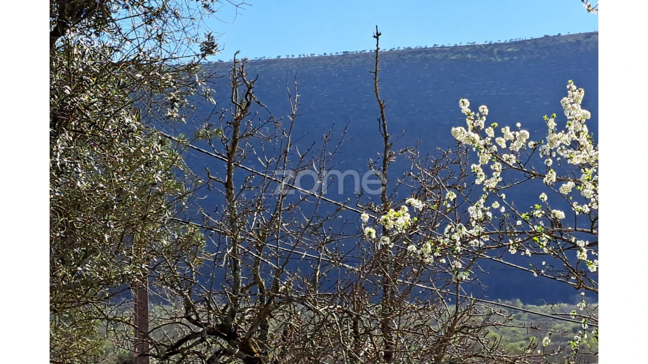 Terreno para Venda em Mira de Aire Foto 11