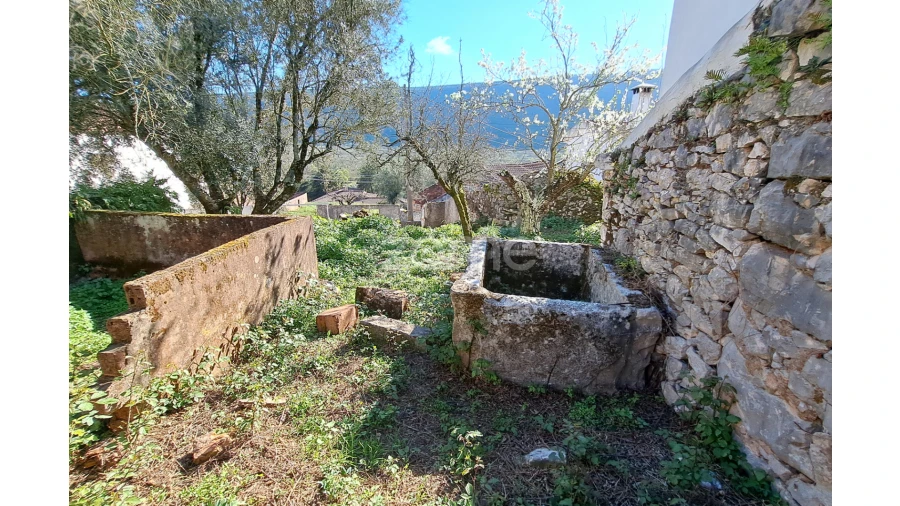 Terreno para Venda em Mira de Aire Foto 3