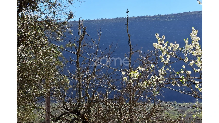 Terreno para Venda em Mira de Aire Foto 11