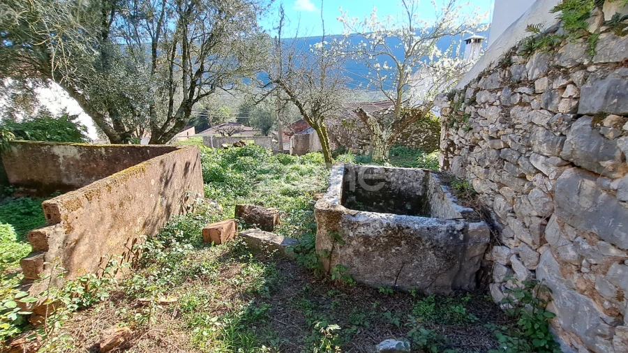 Terreno para Venda em Mira de Aire