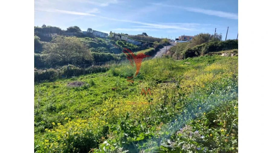 Terreno para Venda em Santo Quintino Foto 10