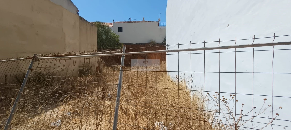 Terreno para Venda em Barão de São Miguel Foto 2
