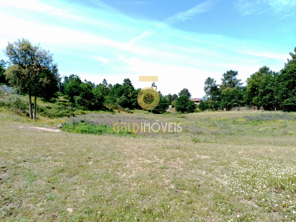 Terreno para Venda em Irivo Foto 14