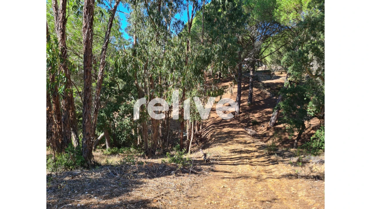 Moradia T2 para Venda em Melides Foto 18