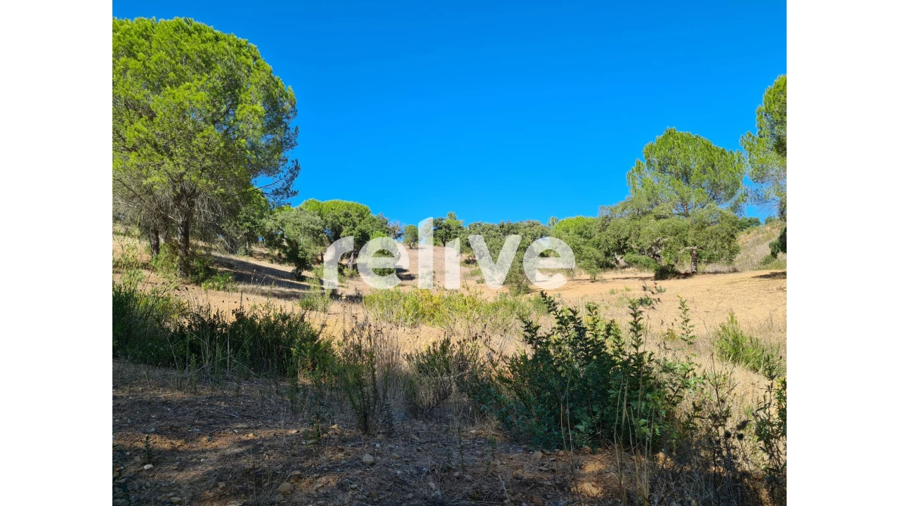 Moradia T2 para Venda em Melides Foto 23