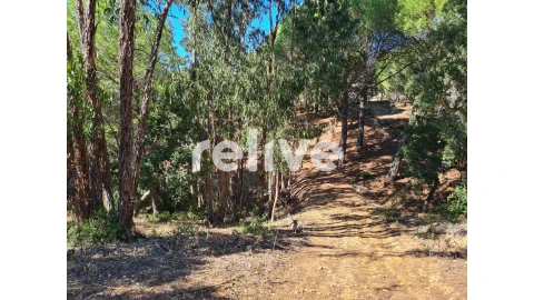 Moradia T2 para Venda em Melides