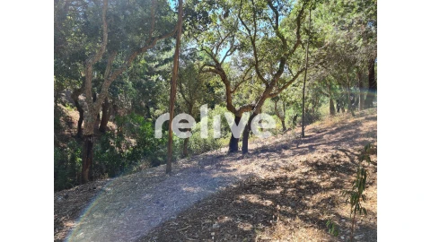 Moradia T2 para Venda em Melides