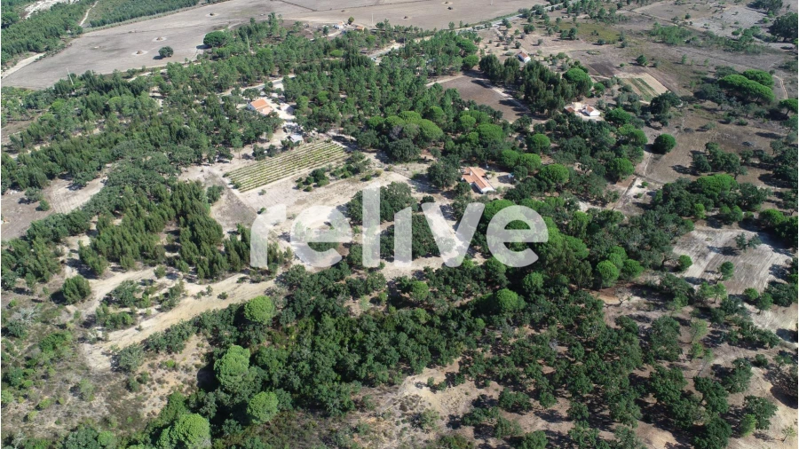Moradia T2 para Venda em Melides Foto 6