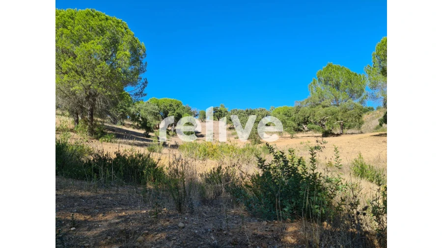 Moradia T2 para Venda em Melides Foto 23