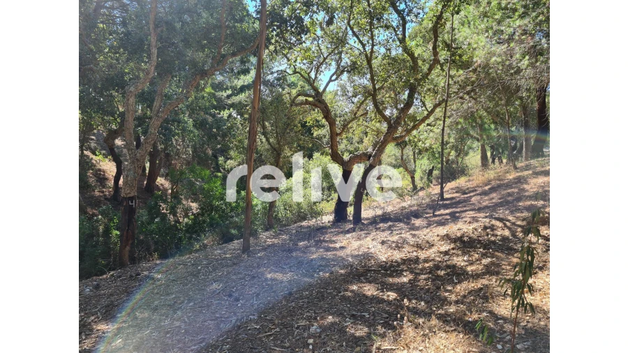 Moradia T2 para Venda em Melides Foto 20