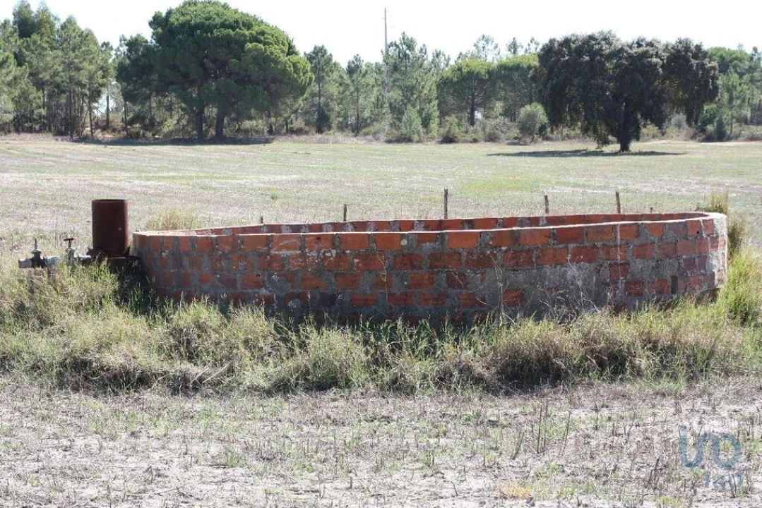 Terreno para Venda em Melides Foto 13