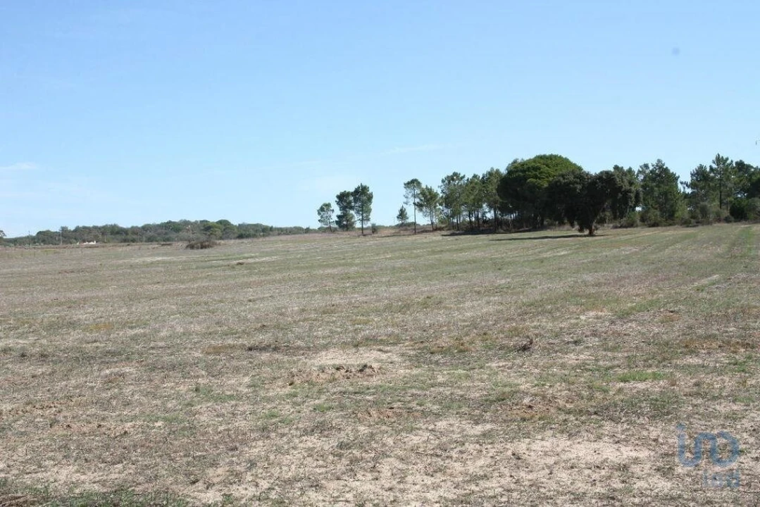 Terreno para Venda em Melides Foto 5