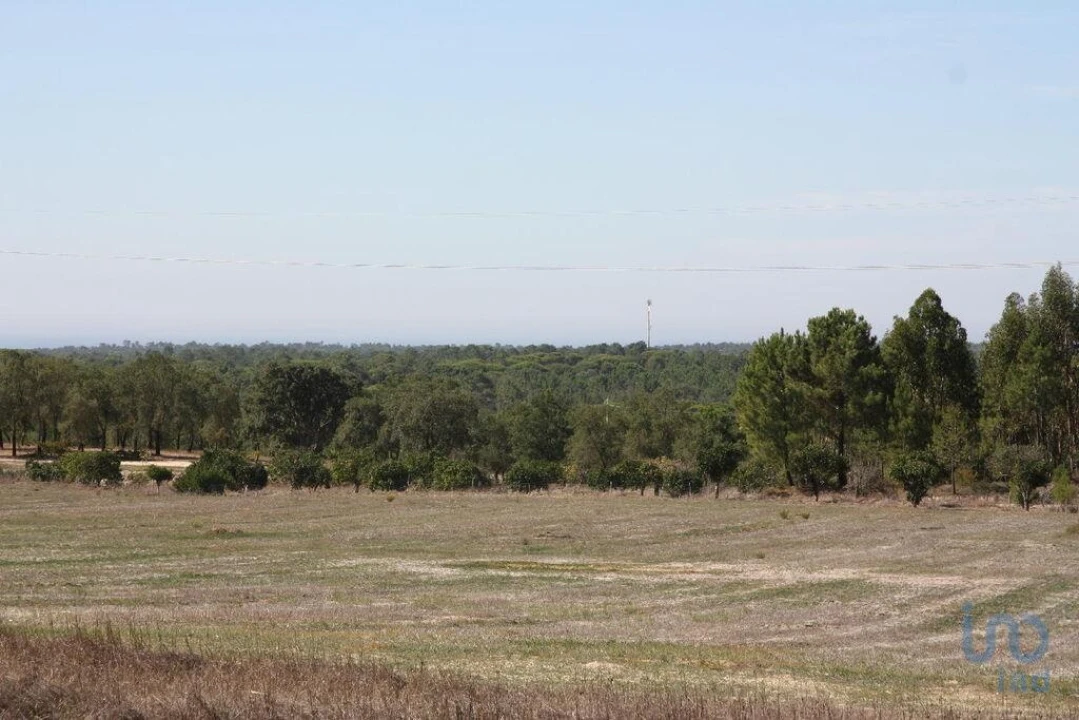 Terreno para Venda em Melides Foto 3